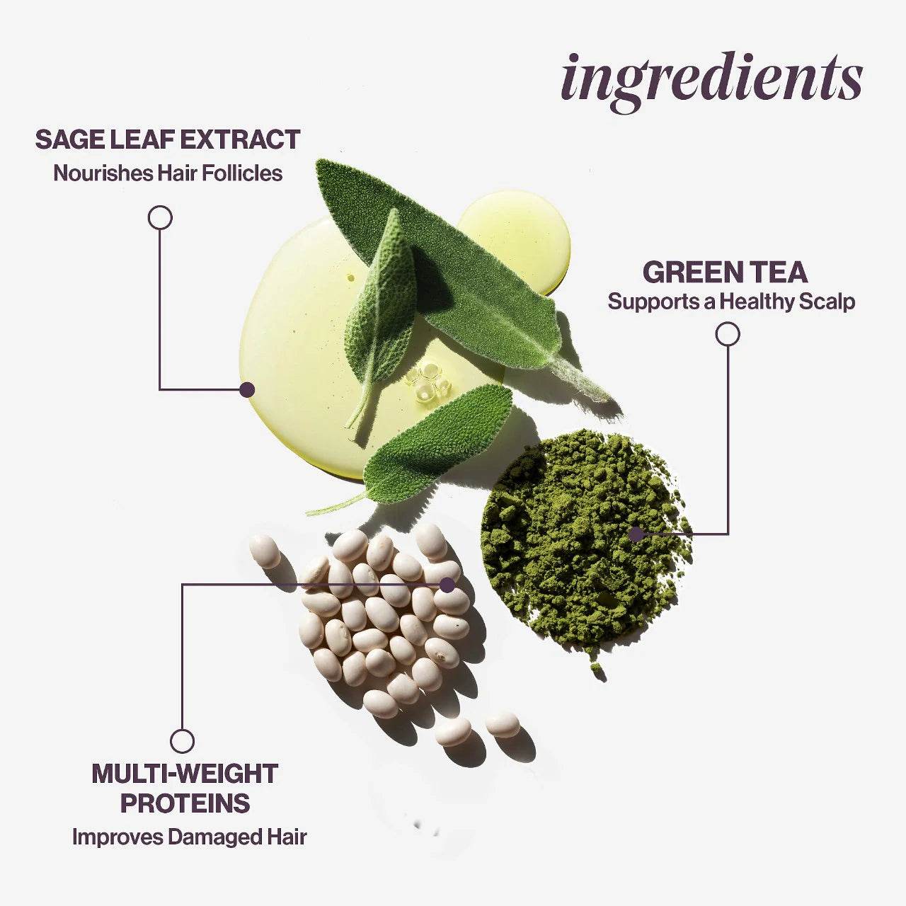 Pureology. revitalisant après-shampoing Hydrate - Oli & Eve | Boutique capillaire végane et sans cruauté