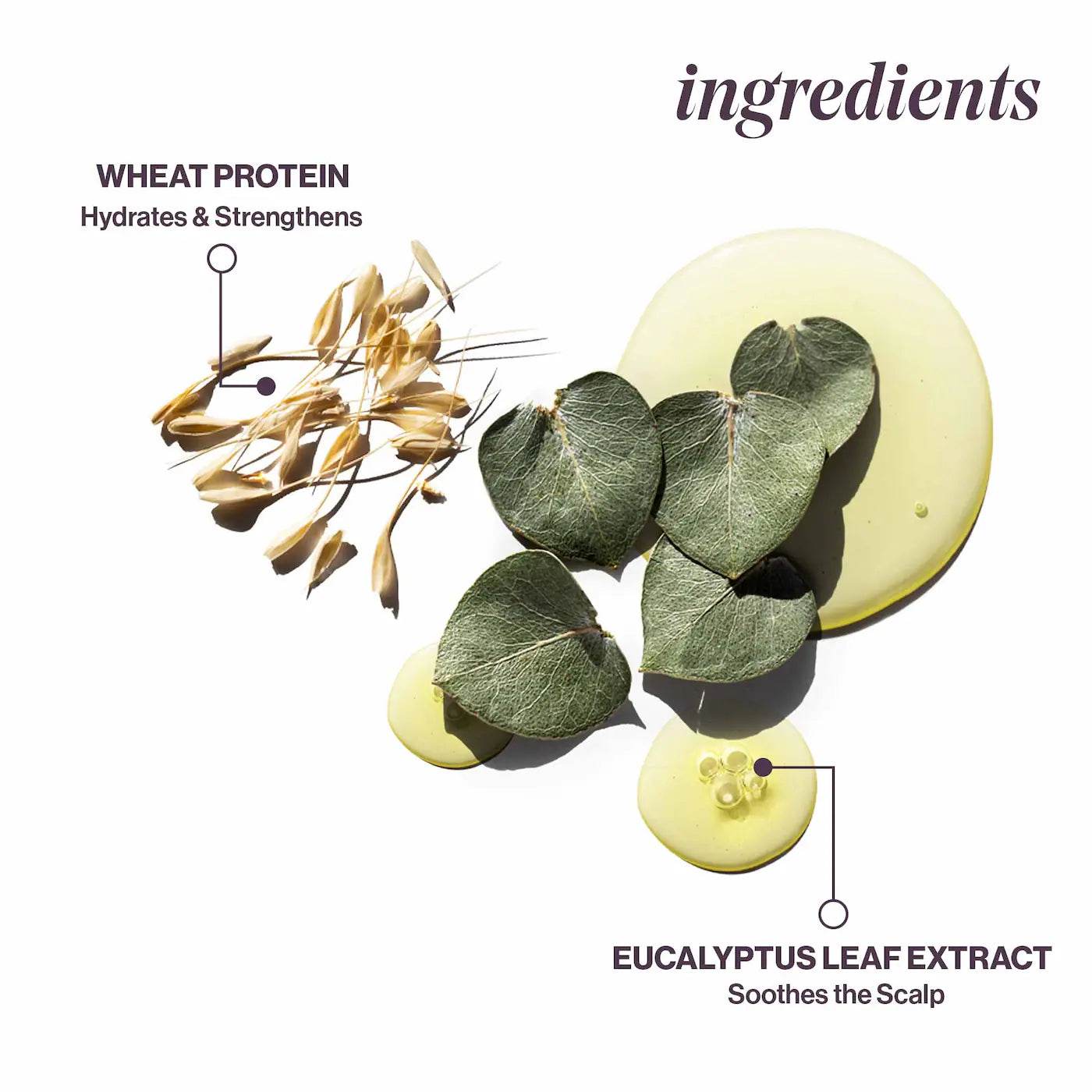 Pureology. revitalisant hydratant cheveux fins Hydrate Sheer - Oli & Eve | Boutique capillaire végane et sans cruauté