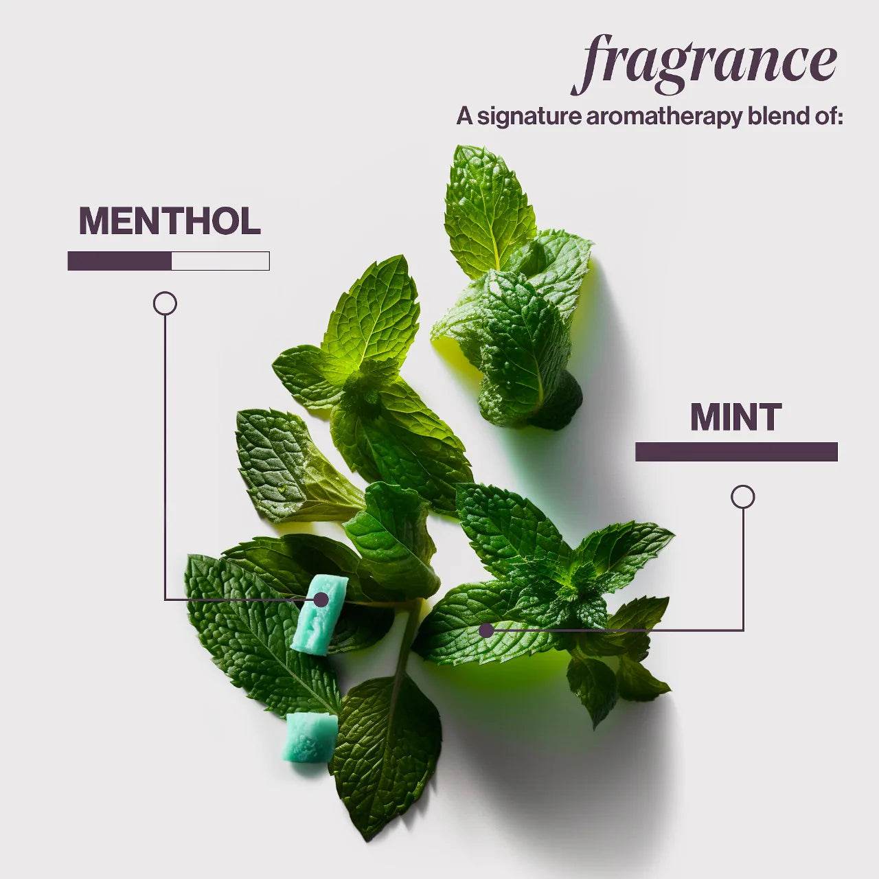 Pureology. revitalisant hydratant cheveux fins Hydrate Sheer - Oli & Eve | Boutique capillaire végane et sans cruauté
