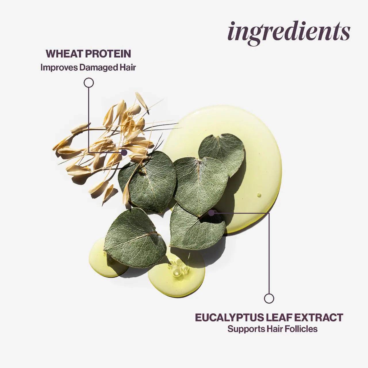 Pureology. revitalisant après-shampoing Pure volume - Oli & Eve | Boutique capillaire végane et sans cruauté 