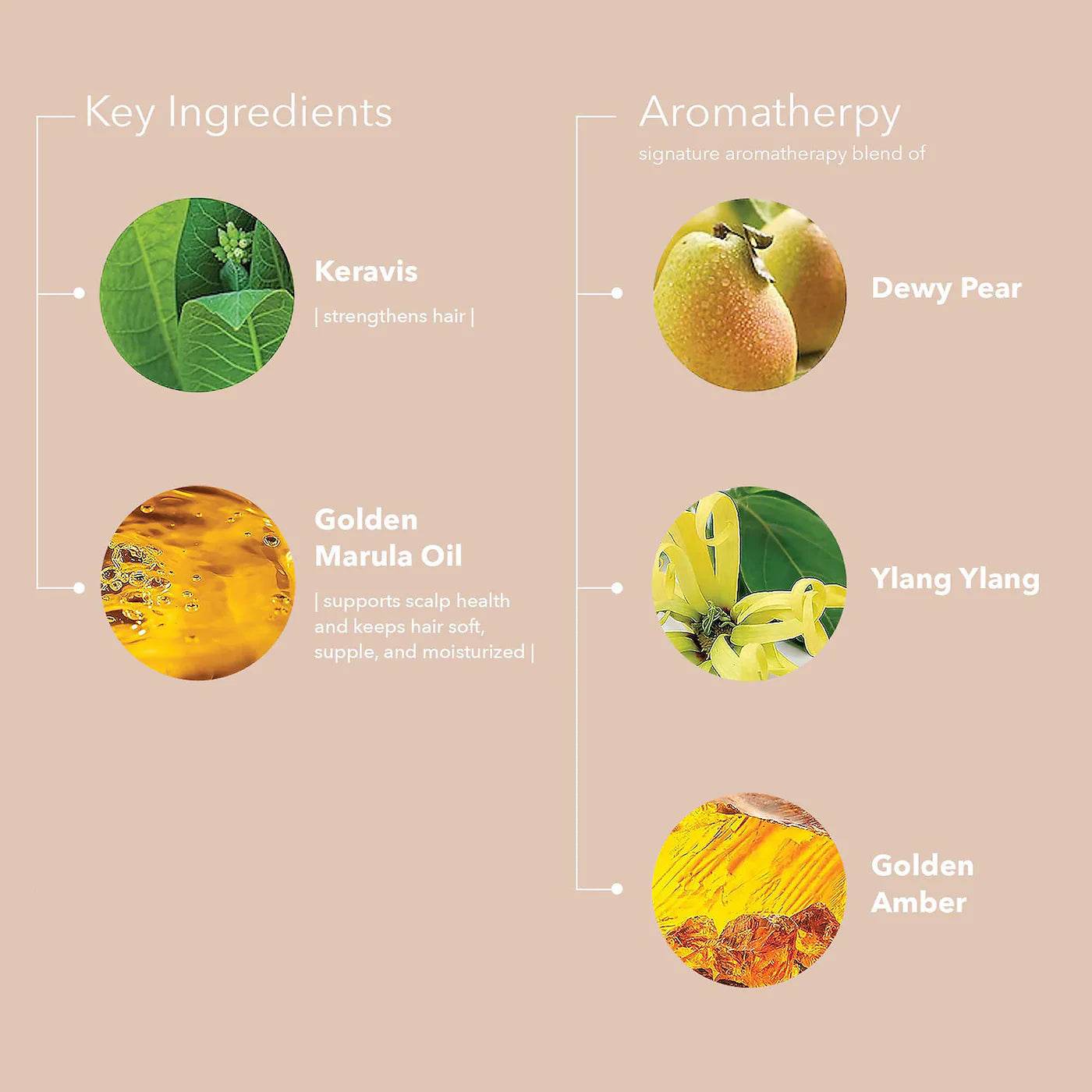 Pureology. shampoing Nanoworks gold - Oli & Eve | Boutique capillaire végane et sans cruauté 