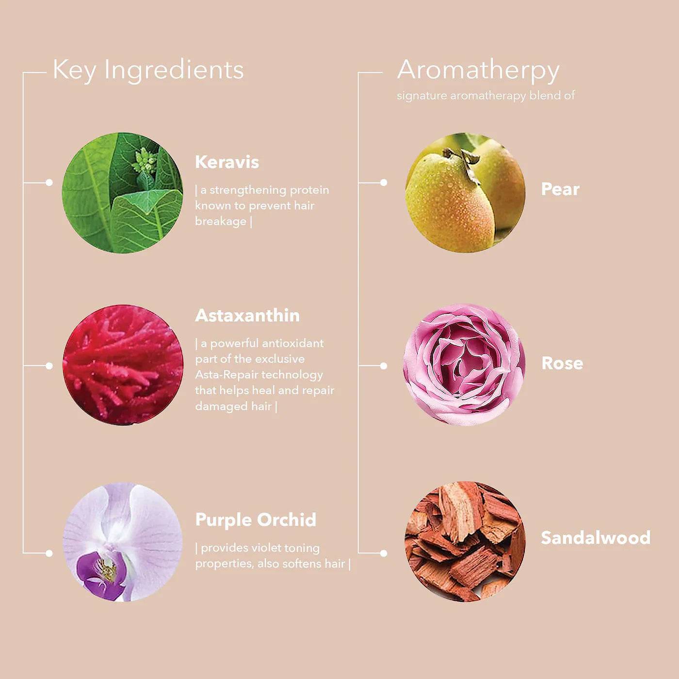 Pureology. shampoing violet Strength cure 266 ml - Oli & Eve | Boutique capillaire végane et sans cruauté 